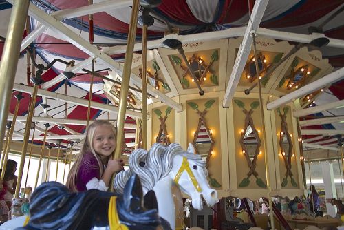 The image is of a little girl riding a carousel. 